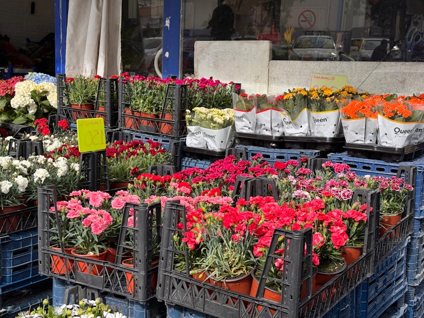 An outdoor display of various potted flowering plants arranged in black plastic crates on a sidewalk. The collection includes bright pink, red, white, yellow, and orange blooms, with some in white pap
